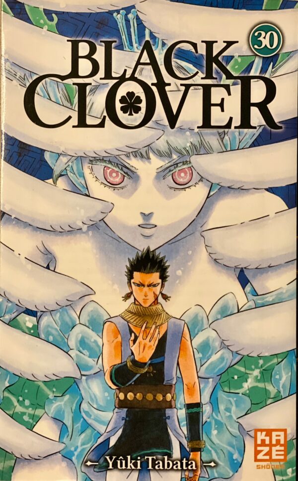 Black clover tome 30