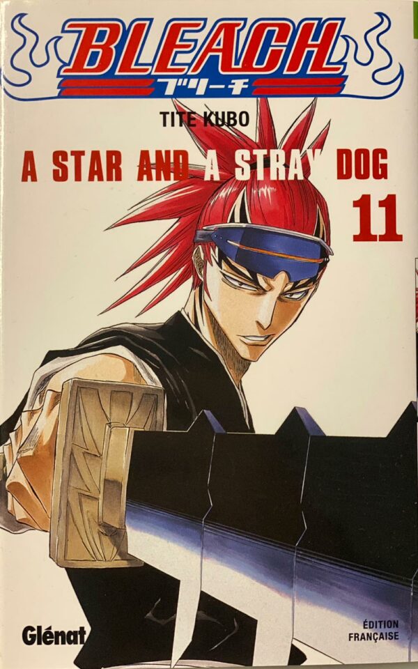 Bleach tome 11