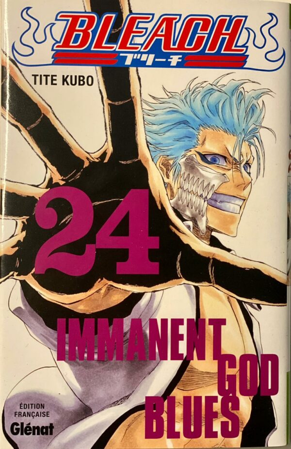 Bleach tome 24