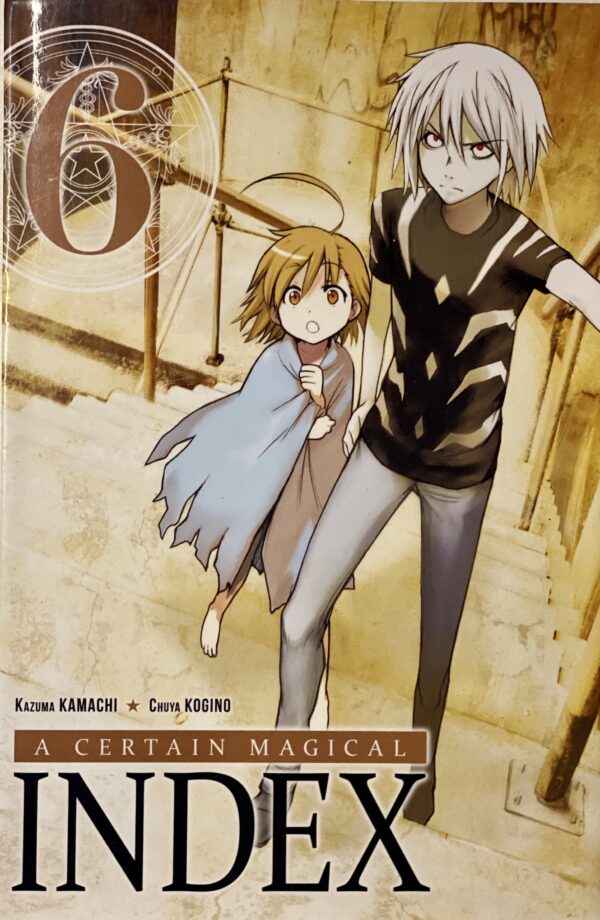 A certain magical index tome 6