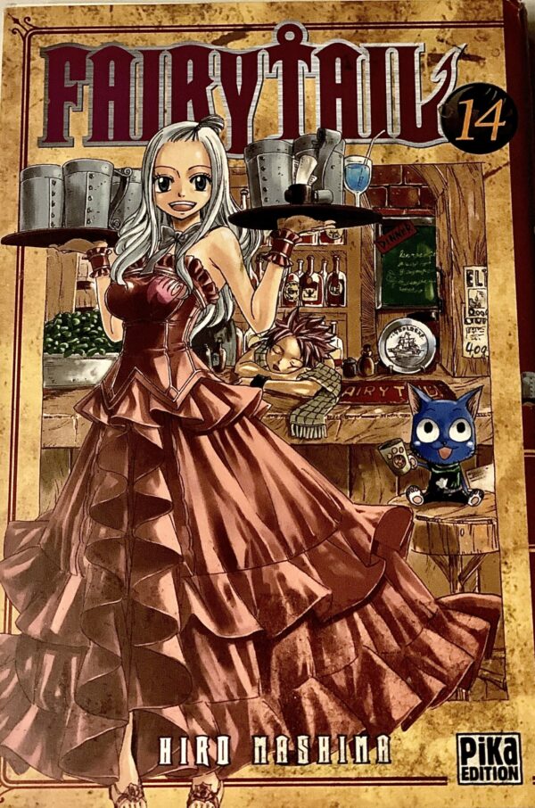 Fairy tail tome 14