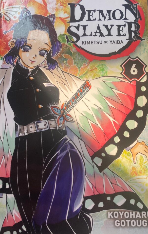 Demon Slayer Tome 6