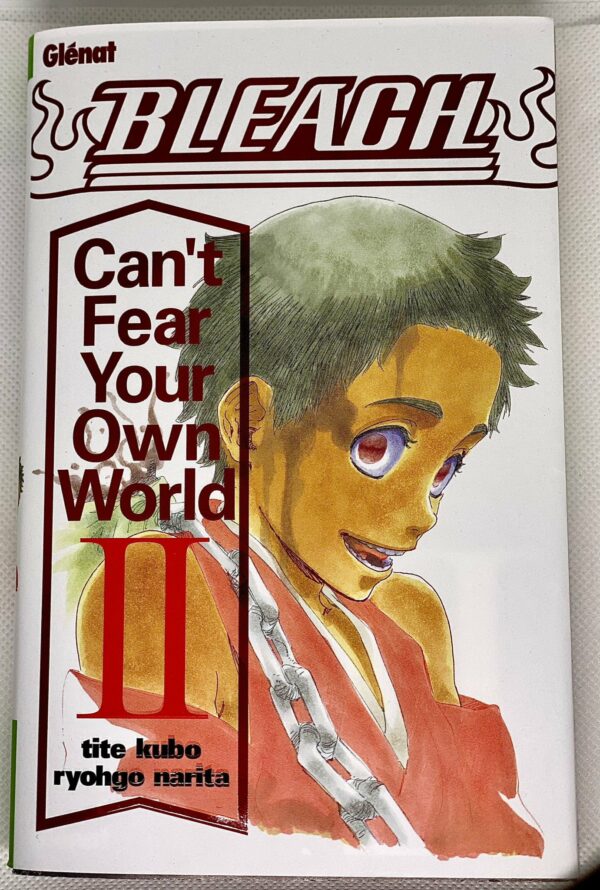 Bleach can't fear your own world Tome 2