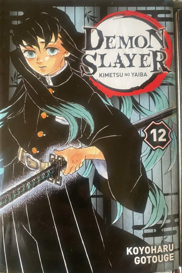Demon Slayer Tome 12